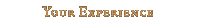 Your Experience